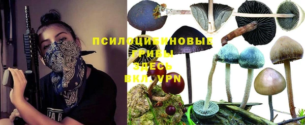 мескалин Аркадак