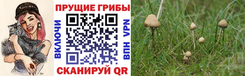 Галлюциногенные грибы MAGIC MUSHROOMS  Кологрив 